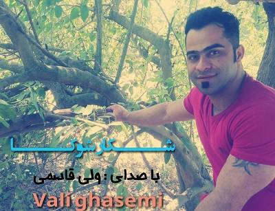 ولی قاسمی شکار شوکا